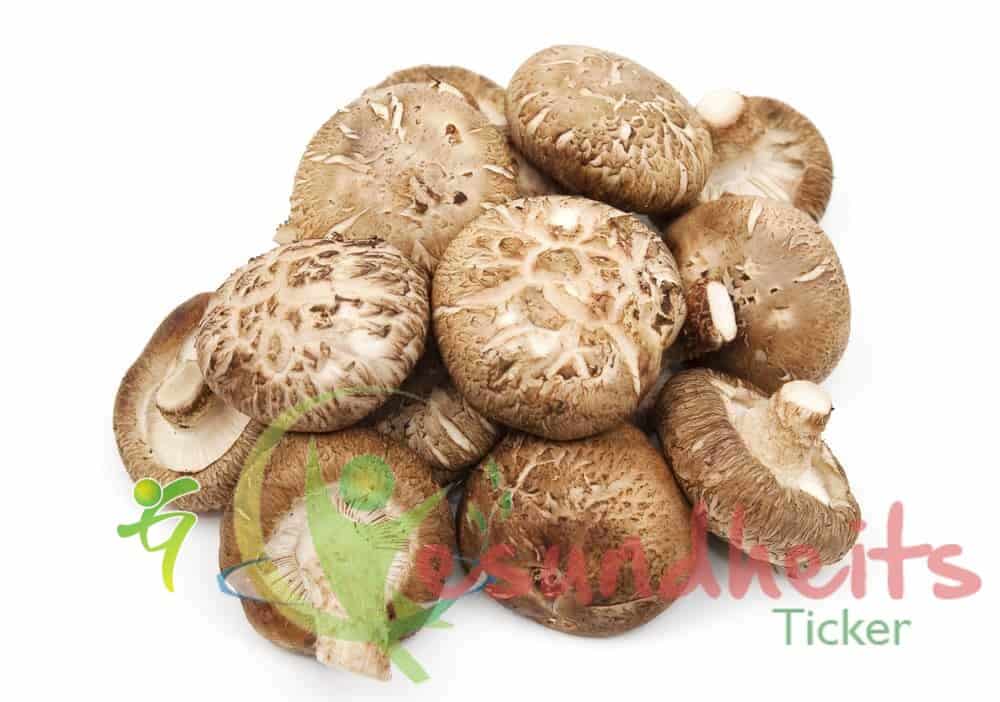 Shiitake (Lentinula edodes) – Der Pilz für gesundes Blut!