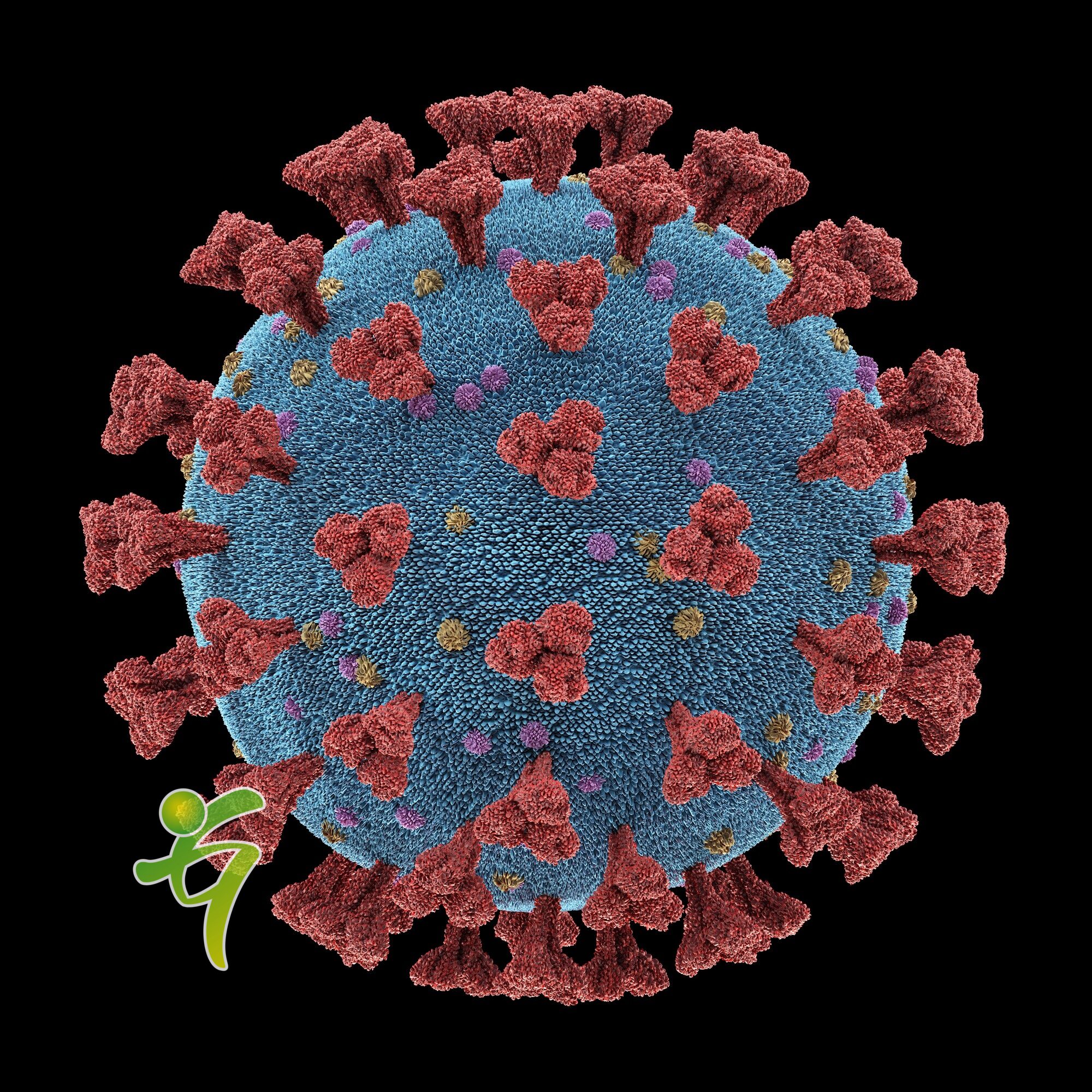 Der Ausbruch des Coronavirus hat einen entscheidenden Punkt erreicht