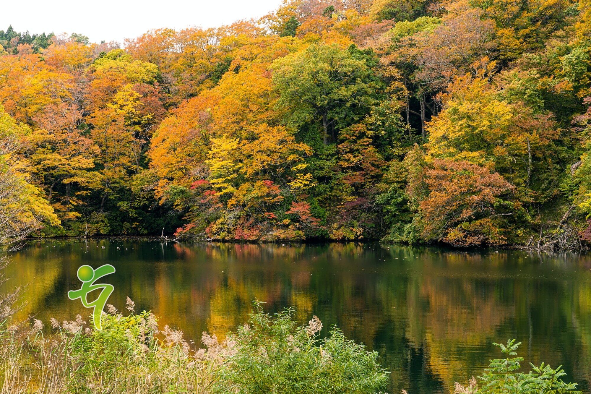 5 Tipps für einen gesunden Herbst