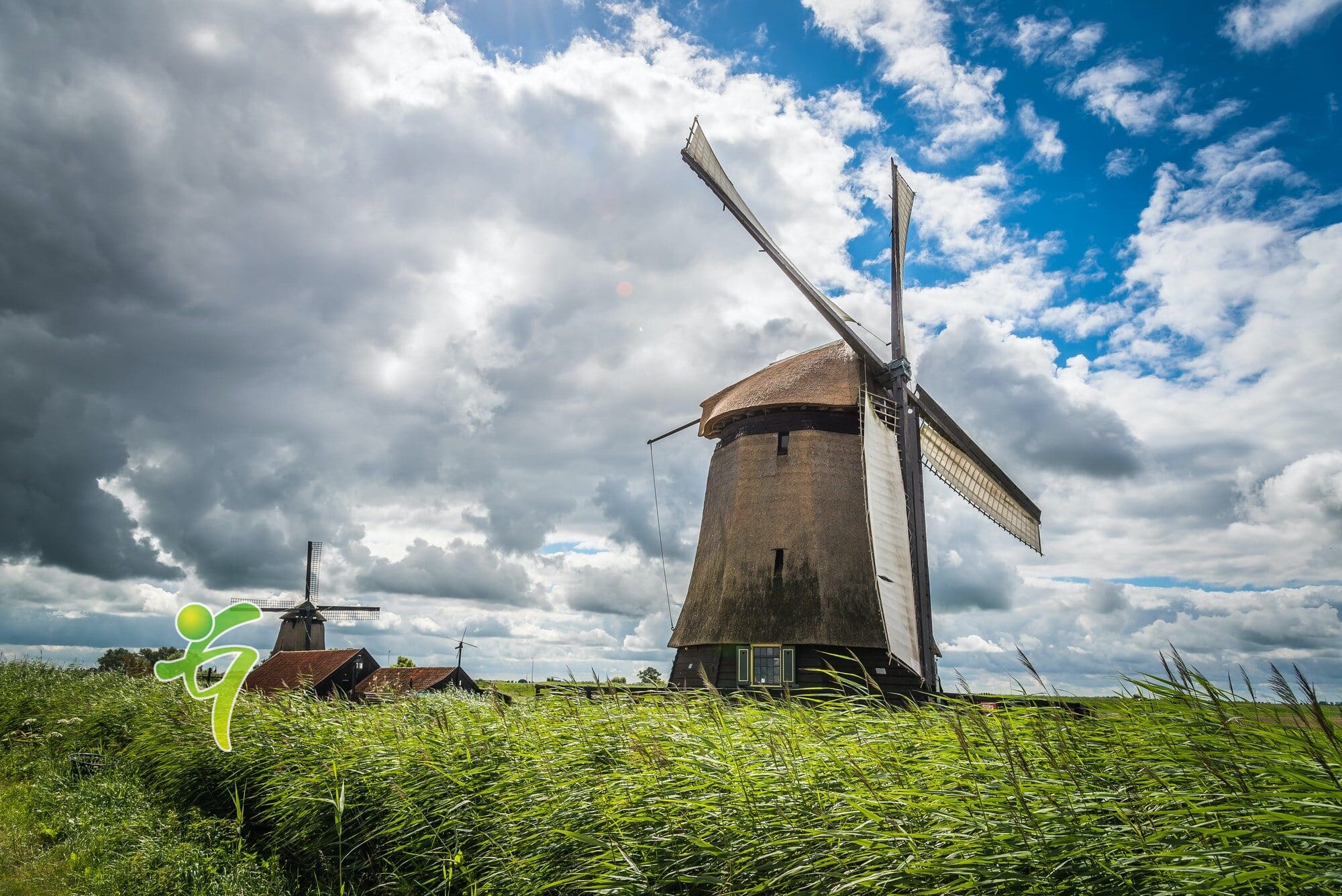 Gesundheitsvorsorge im Alter – Beispiel: die Niederlande